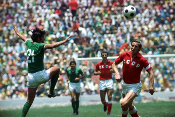 年国内一家 年国内一家